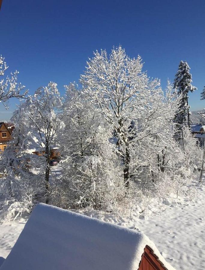 Apartament Poleczka Zakopane Koscielisko Exteriör bild